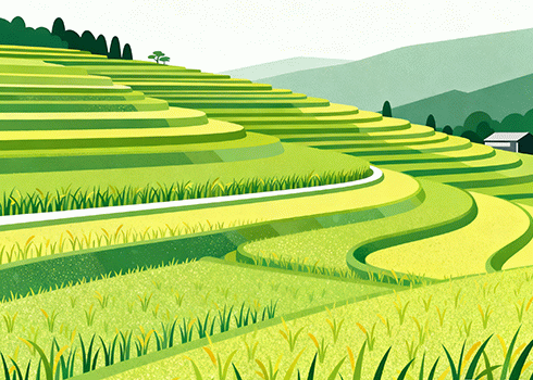 听说博客园被打了