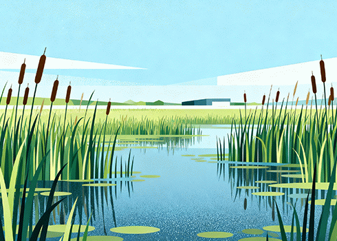 饿死也不屈服？