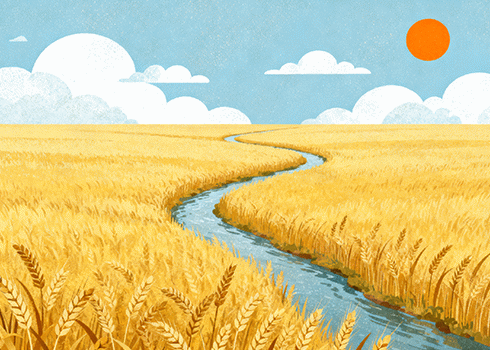 今天看几篇服务器被进攻的文章。